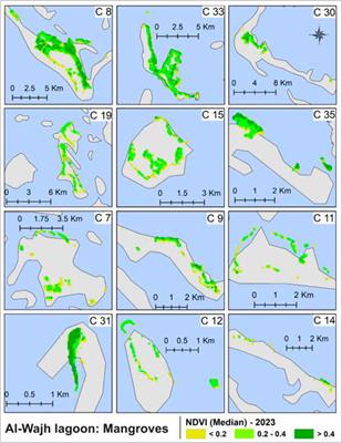Mangroves trend and their impact on surface temperature in Al-Wajh Lagoon: a study aligned with Saudi Arabia's vision 2030